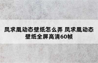 凤求凰动态壁纸怎么弄 凤求凰动态壁纸全屏高清60帧